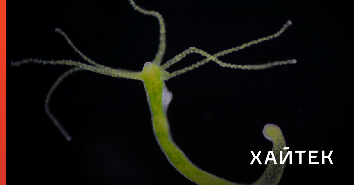 Kraken зеркало krakens13 at
